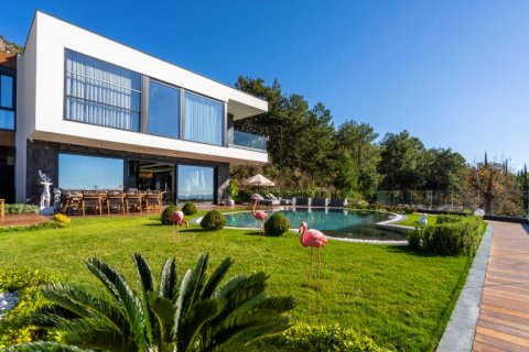 Продажа виллы  в Бекташе, Аланье, Анталье, Турция 3+1, 298м2, №191149 – фото 2