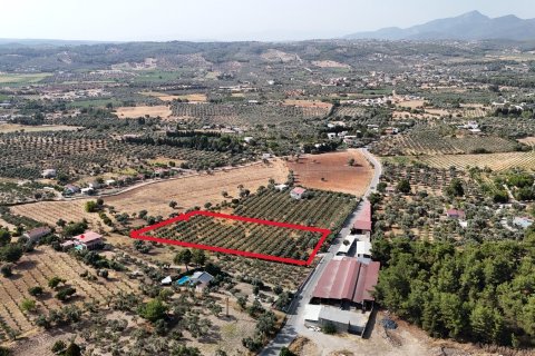 Land  in Izmir, Türkei Nr. 193865 - 8