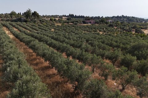 Land  in Izmir, Türkei Nr. 193865 - 7