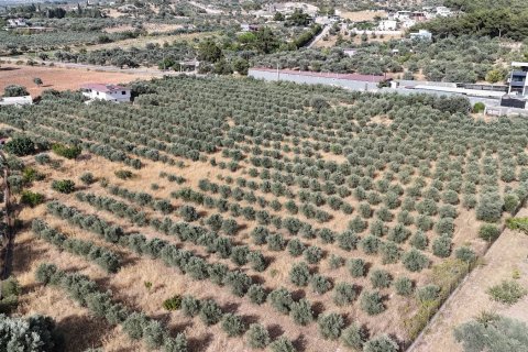 Land  in Izmir, Türkei Nr. 193865 - 6