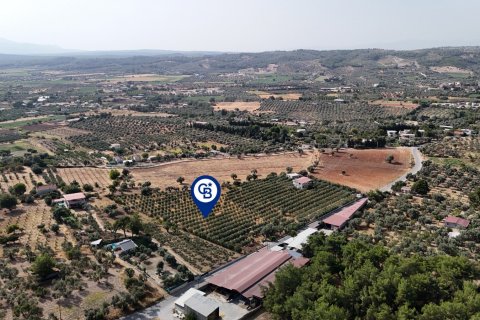 Land  in Izmir, Türkei Nr. 193865 - 1