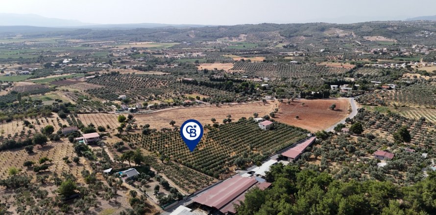 Land  in Izmir, Türkei Nr. 193865