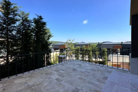 5+3 Villa  i Istanbul, Tyrkiet Nr. 210444 - 15
