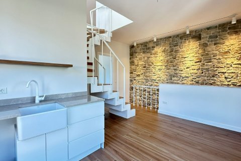 5+3 Villa  i Istanbul, Tyrkiet Nr. 210444 - 14