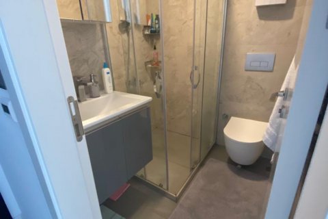 3+1 Wohnung  in Alanya, Antalya, Türkei Nr. 192915 - 15