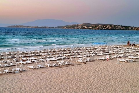 Продажа земельного участка в Чешме, Измире, Турция, 1500м2, №206626 – фото 2