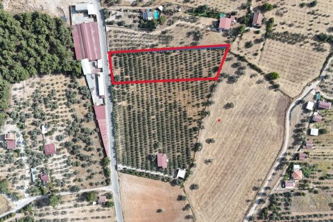 Land  in Izmir, Türkei Nr. 193865 - 2