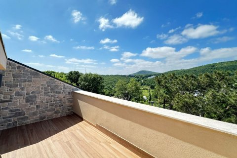 5+3 Villa  i Istanbul, Tyrkiet Nr. 210444 - 10