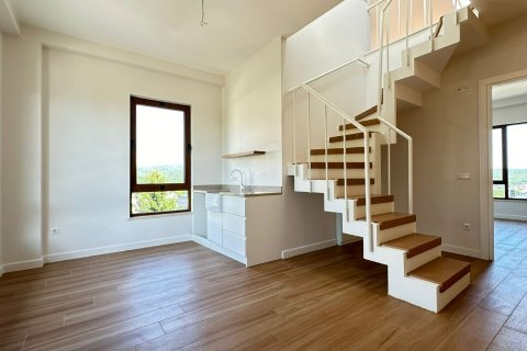 5+3 Villa  i Istanbul, Tyrkiet Nr. 210444 - 12