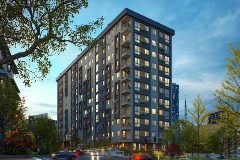 1+1 Wohnung  in Gaziosmanpasa, Istanbul, Türkei Nr. 206597 - 2