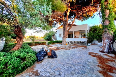 Продажа земельного участка в Чешме, Измире, Турция, 1500м2, №206626 – фото 9