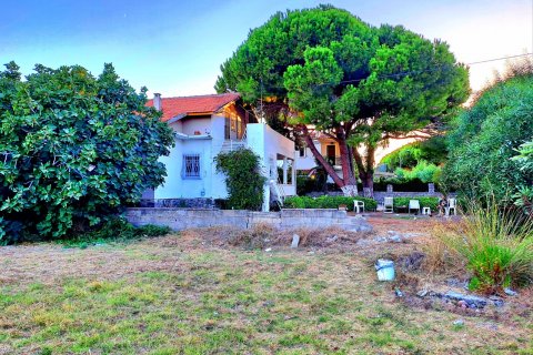 Продажа земельного участка в Чешме, Измире, Турция, 1500м2, №206626 – фото 6