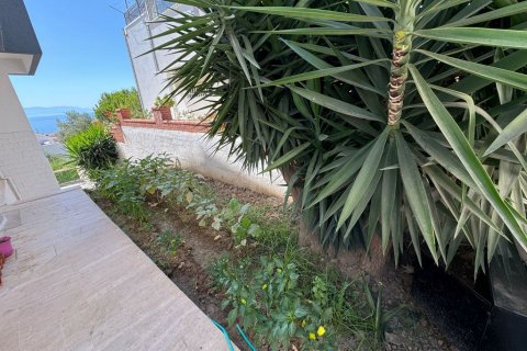   in Kusadasi, Aydin, Türkei Nr. 190048 - 5