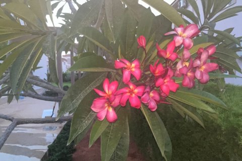 Продажа виллы  в Искеле, Северный Кипр 4 комн., 170м2, №211062 – фото 27