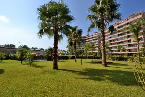 Продажа квартиры  в Тосмуре, Аланье, Анталье, Турция 5 комн., 230м2, №208244 – фото 13