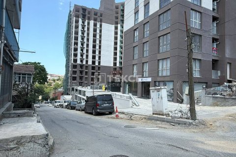 1+1 Leilighet  i Istanbul, Tyrkia Nr. 210196 - 18