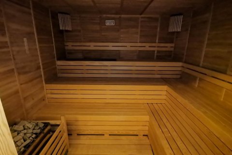 آپارتمان در  Kestel ، ترکیه 230 متر مربع.  شماره 209609 - 13