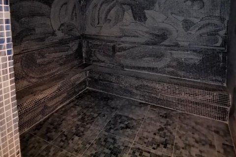 آپارتمان در  Kestel ، ترکیه 230 متر مربع.  شماره 209609 - 14