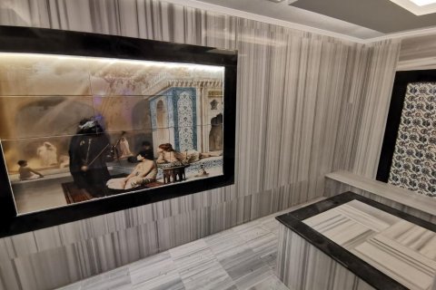 آپارتمان در  Kestel ، ترکیه 230 متر مربع.  شماره 209609 - 12