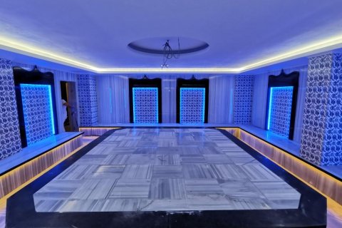 آپارتمان در  Kestel ، ترکیه 230 متر مربع.  شماره 209609 - 11