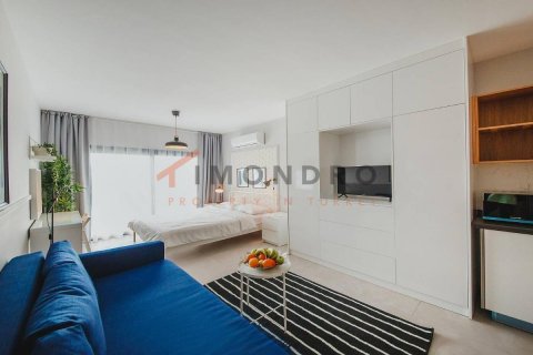 3+1 Wohnung  in  Nr. 184966 - 25