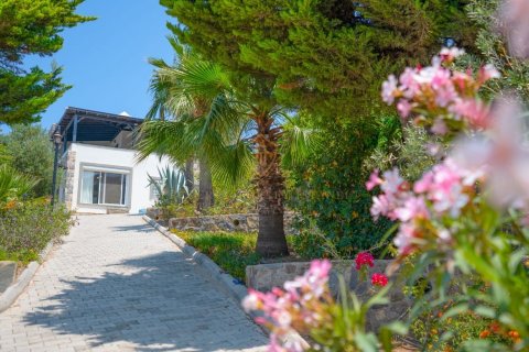 Продажа виллы в Гюмюшлюке, Мугле, Турция 4+1, 280м2, №193294 – фото 26