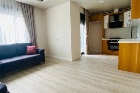 1+1 Leilighet  i Konyaalti, Antalya, Tyrkia Nr. 210352 - 12