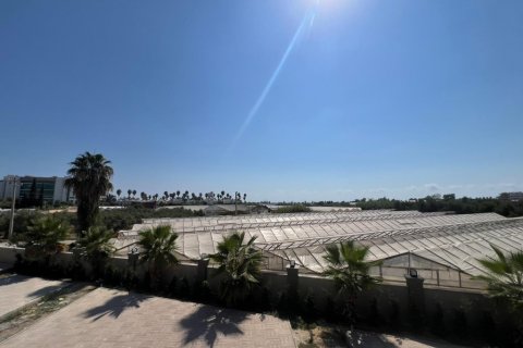 ویلا در  Alanya ، ترکیه 250 متر مربع.  شماره 206546 - 22