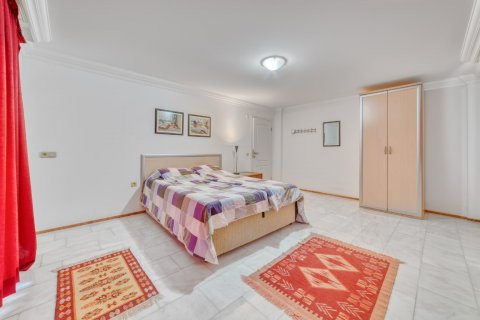 آپارتمان در Kestel ، ترکیه 280 متر مربع. شماره 207042 - 16