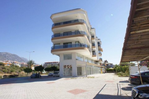 Продажа квартиры  в Кестеле, Анталье, Турция 4 комн., 240м2, №209026 – фото 27