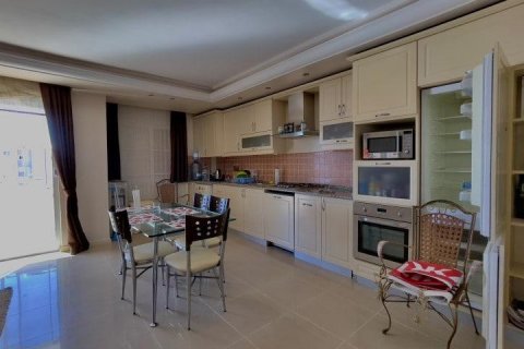 Penthäuser  in Mahmutlar, Antalya, Türkei Nr. 209161 - 5