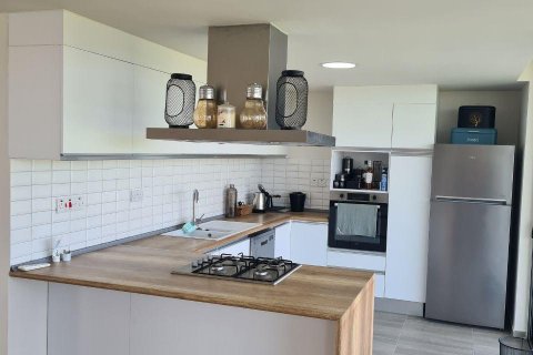 Продажа квартиры  в Боазе, Фамагусте, Северный Кипр 4 комн., 179м2, №211076 – фото 8