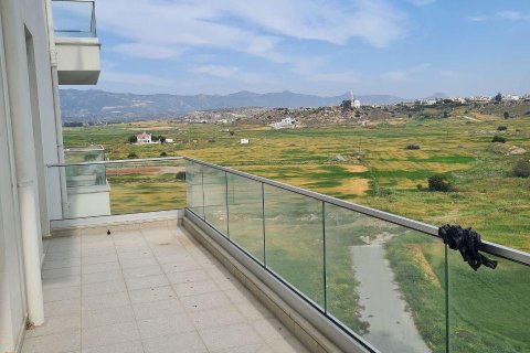 Продажа квартиры  в Боазе, Фамагусте, Северный Кипр 4 комн., 179м2, №211076 – фото 18