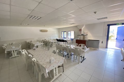 Gewerbeimmobilien  in Izmir, Türkei Nr. 210445 - 3