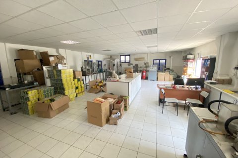 Gewerbeimmobilien  in Izmir, Türkei Nr. 210445 - 7