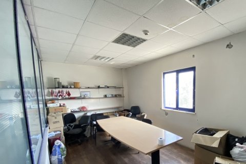 Gewerbeimmobilien  in Izmir, Türkei Nr. 210445 - 4