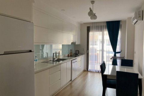 آپارتمان در  Alanya ، ترکیه 165 متر مربع.  شماره 207163 - 20