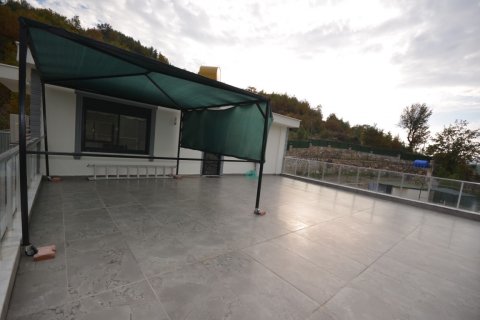 Villa  in Demirtas, Alanya, Antalya, Türkei Nr. 207249 - 24