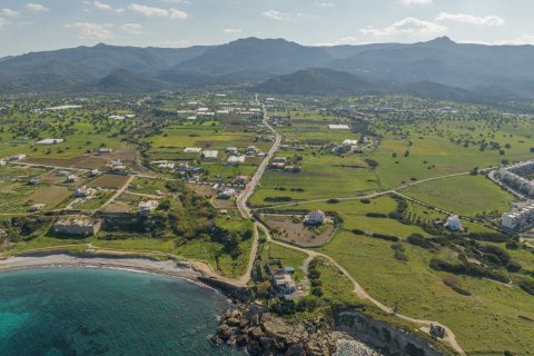 Daire  1+1   №211557 - 12