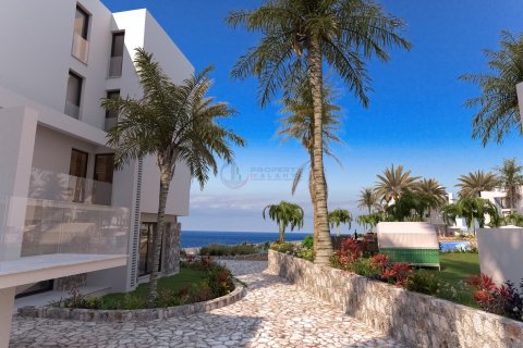 Daire  1+1   №211557 - 3