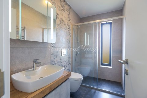 Daire  2+1  Bodrum, Muğla, Türkiye №193336 - 9