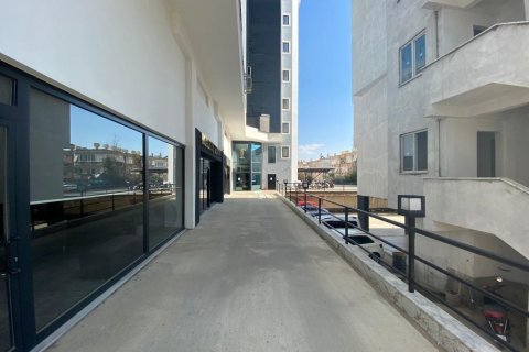 پنت هاس در  Alanya ، ترکیه 134 متر مربع.  شماره 207621 - 3