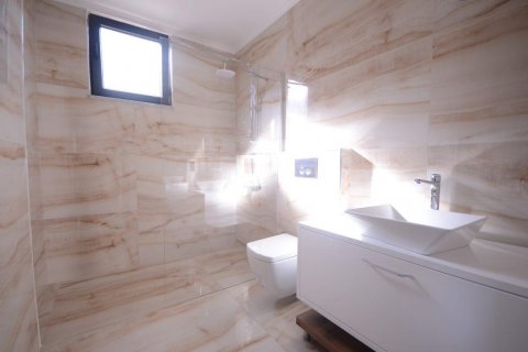Villa  i Alanya, Antalya, Turkiet Nr. 208842 - 15