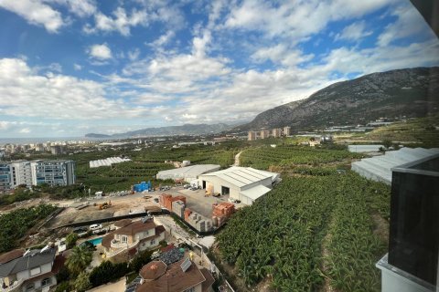 Wohnung  in Mahmutlar, Antalya, Türkei Nr. 207411 - 10