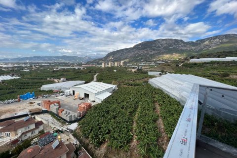 Wohnung  in Mahmutlar, Antalya, Türkei Nr. 207411 - 13