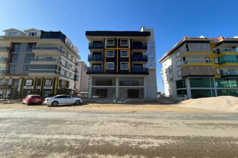 Продажа квартиры  в Кестеле, Анталье, Турция 2 комн., 54м2, №207409 – фото 3