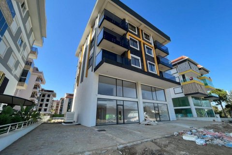 Продажа квартиры  в Кестеле, Анталье, Турция 2 комн., 54м2, №207409 – фото 2