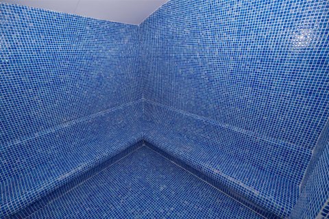 1+1 Wohnung  in Alanya, Antalya, Türkei Nr. 156671 - 12