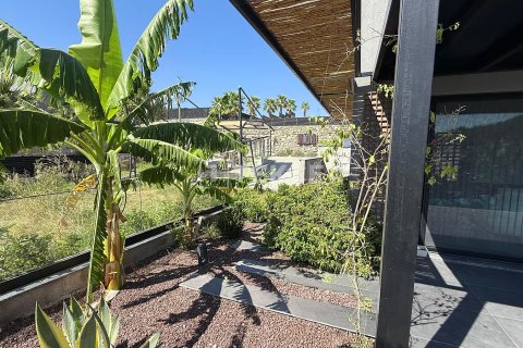 4+1 Villa  i Urla, Izmir, Turkiet Nr. 210473 - 8