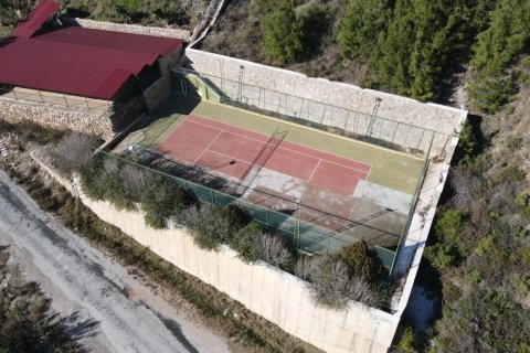 Penthäuser  in Tepe, Alanya, Antalya, Türkei Nr. 208551 - 4